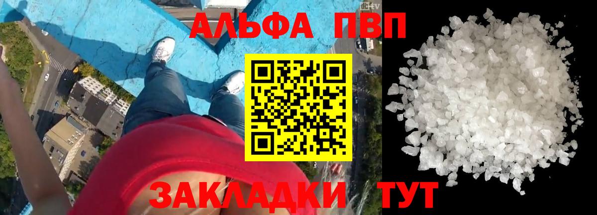 Alfa_PVP СК КРИС Слободской