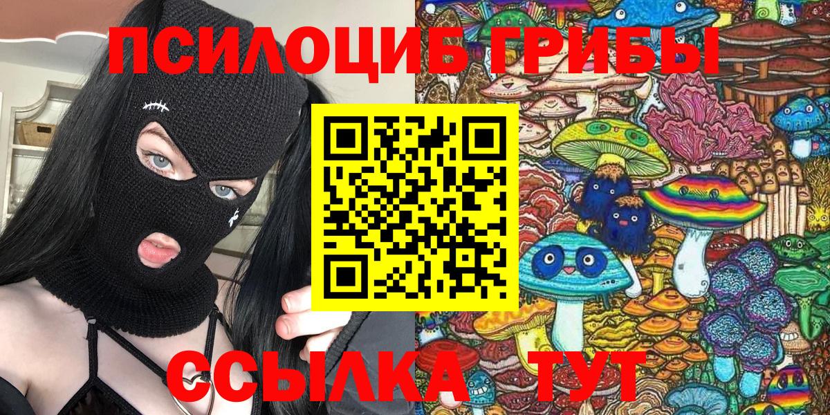 Псилоцибиновые грибы мицелий Слободской