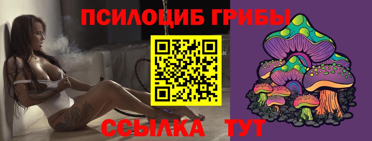 Слободской  Галлюциногенные грибы Cubensis  Вход с VPN 
